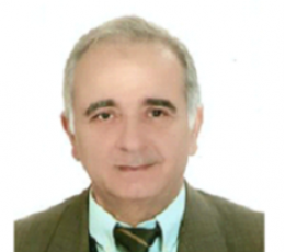 أحمد سليمان أحمد