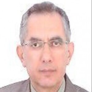 Hussein Mayhoub Salman