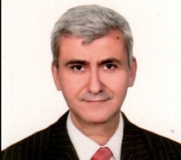 Nabil Ali