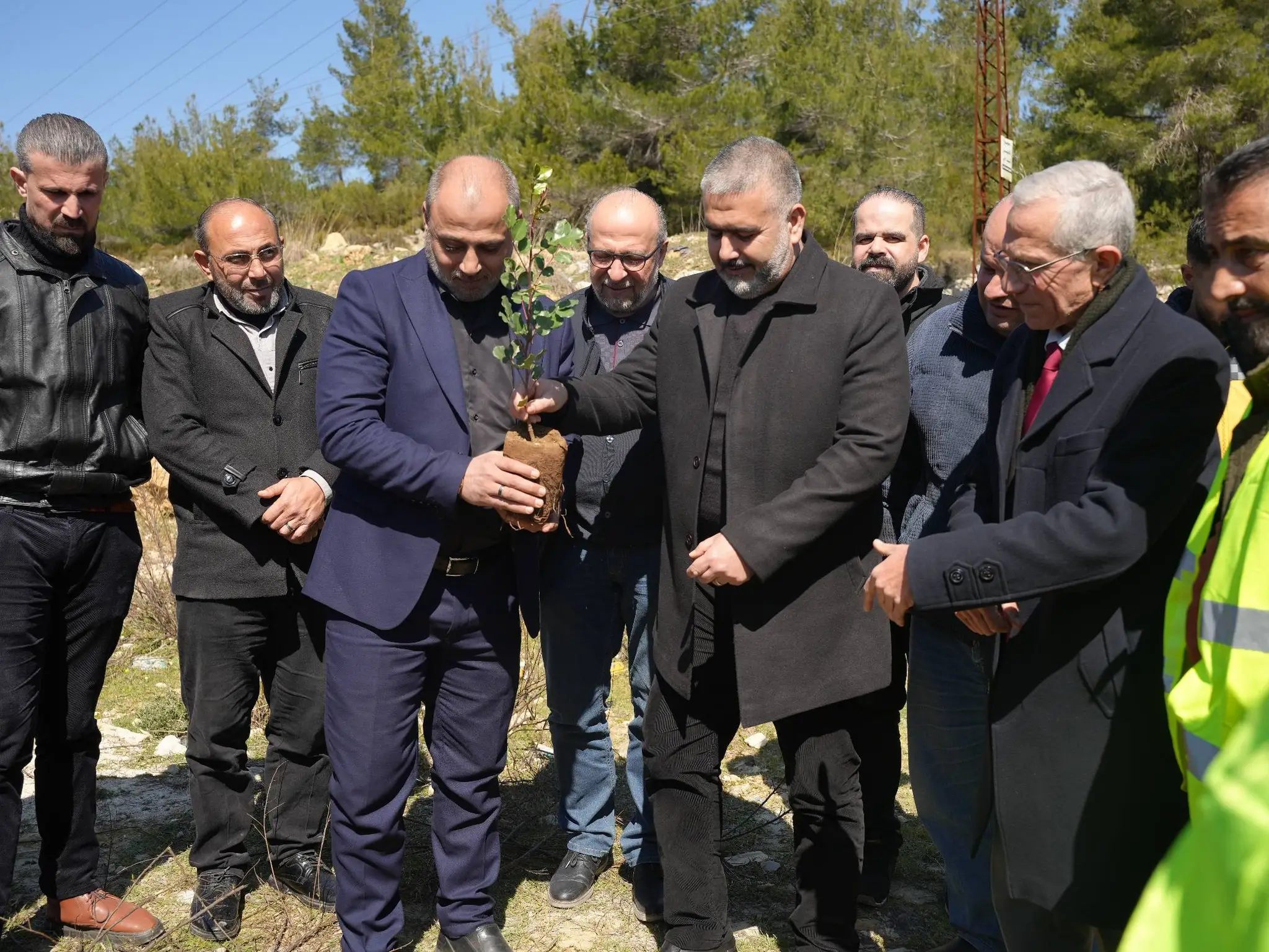 مشاركة جامعة الأندلس الخاصة للعلوم الطبية في حملة التشجير