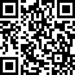 Bio-Numerical Analysis of the Human Ankle-Foot Model Corresponding to Neutral Standing Condition QR