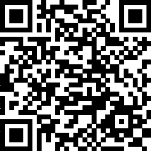 On The Algebraic Properties of Symbolic 6-Plithogenic Integrs QR