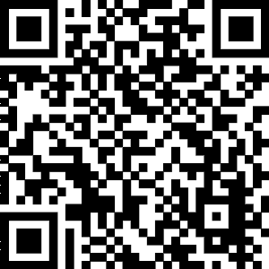 Cancer stem cells in head and neck squamous cell carcinoma QR