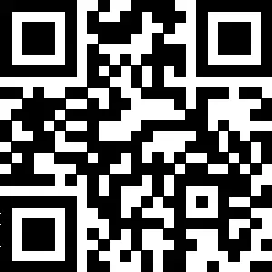 Determination of Prasugrel Hydrochloride in Bulk and Pharmaceutical Formulation Using New Ion Selective Electrodes QR