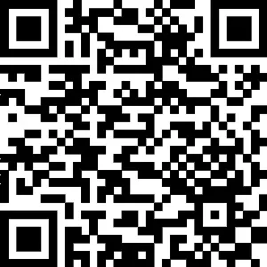 Toripalimab in Esophageal Cancer: A Systematic Review and Meta-Analysis QR