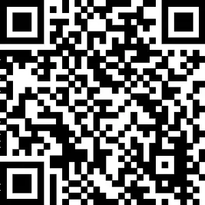 Cancer stem cells in head and neck squamous cell carcinoma QR